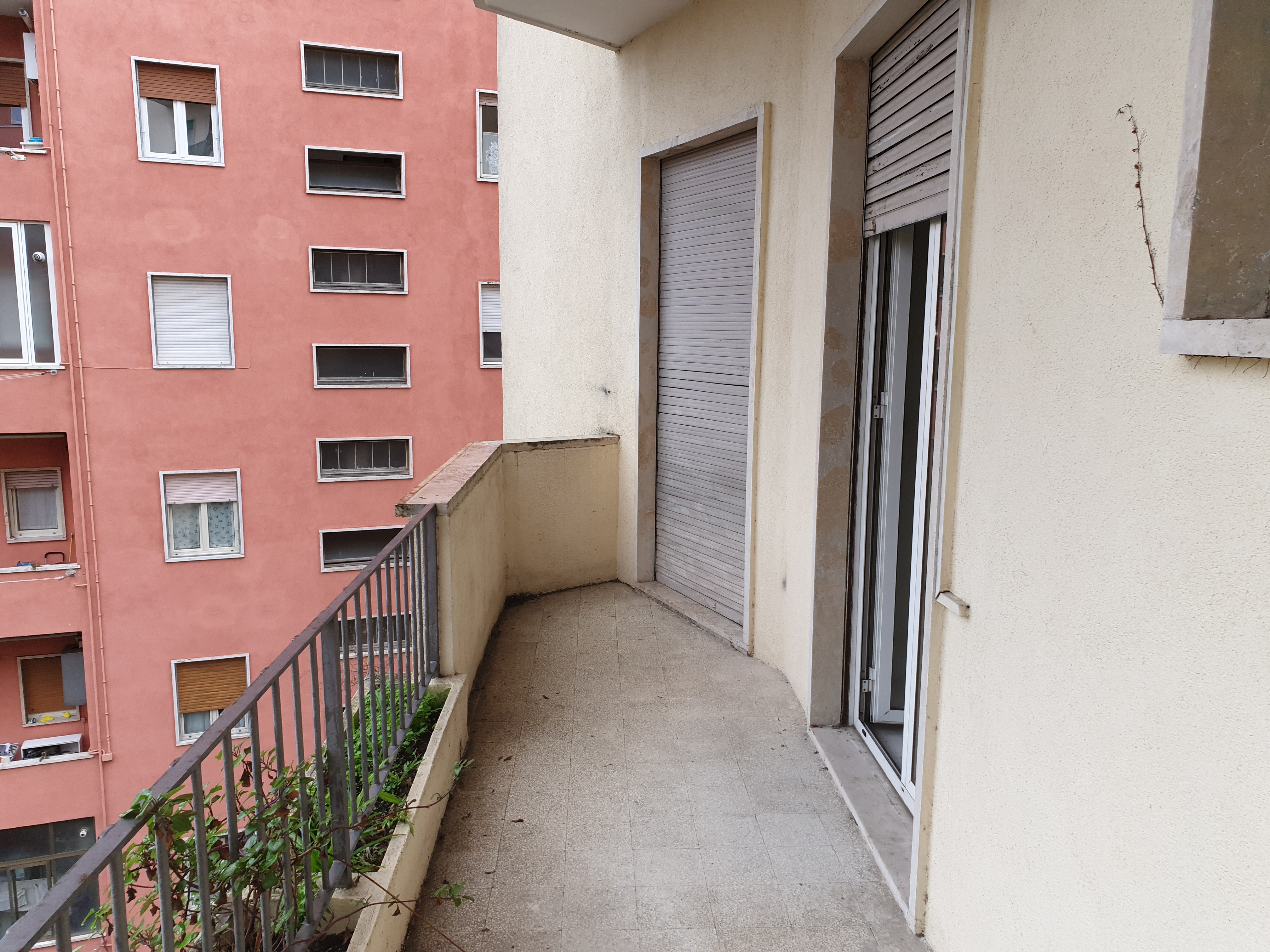 Avviso Vendita 43271